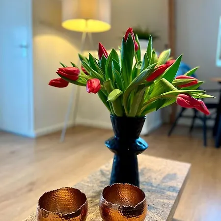 Achter De Duinen アパート