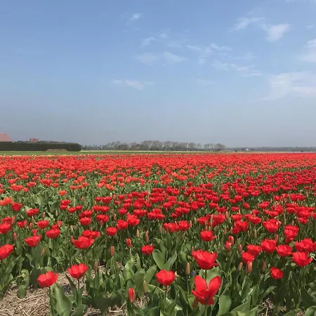 Achter De Duinen Apartament