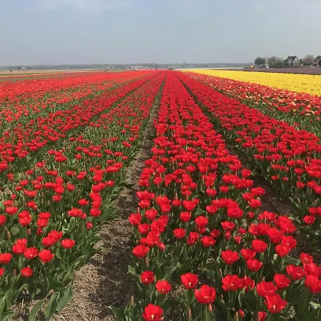 Apartmán Achter De Duinen Castricum